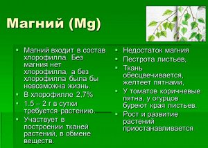 Удобрение магний является необходимым компонентом для здорового роста и развития растений