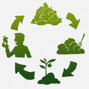 Утилизации органических и биологических отходов
