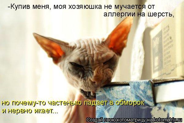 [Зображення: 207544s3img_46944326_26194_1.jpg]