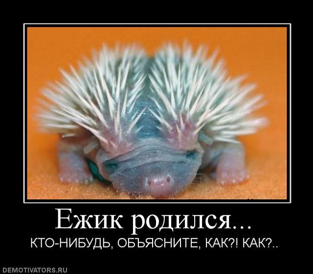 [Зображення: 311311s3img_8916115_4563_1.jpg]