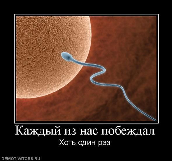 [Зображення: 337921279866822_16.jpg]