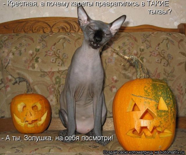 [Зображення: 375955s3img_55546277_21638_1.jpg]