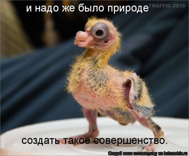 [Зображення: 408198s3img_55546277_21639_1.jpg]