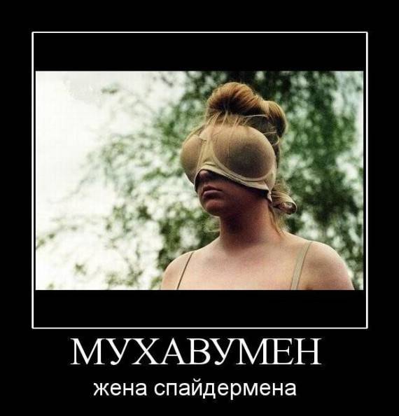 [Зображення: 47947322636.jpg]