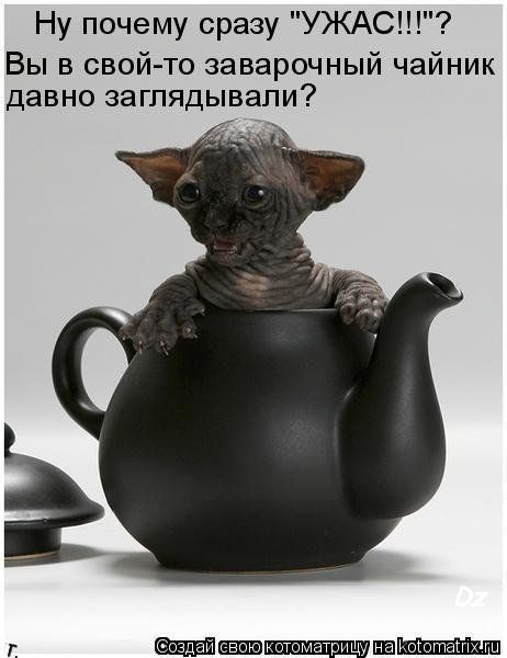 [Зображення: 556548s3img_46944326_26191_1.jpg]