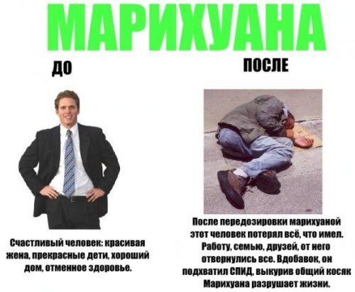 [Зображення: 695146post-3-12590435216886.jpg]