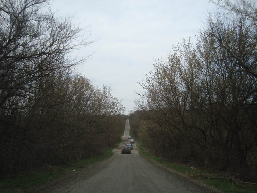 [Зображення: 71126DSC03805.jpg]