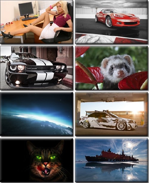 Computer Desktop Wallpapers Collection (235)