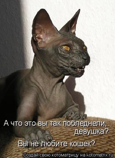 [Зображення: 843715s3img_55546277_21637_1.jpg]
